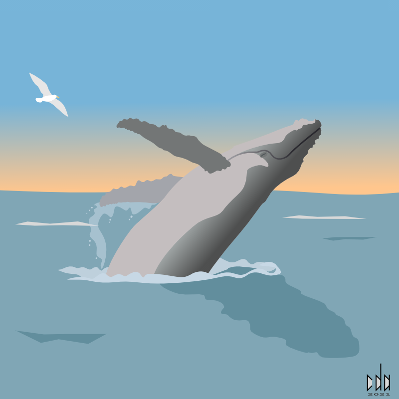 vector art whale